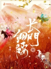 长门好细腰小说好看吗