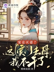 宠妾灭妻这侯门主母我不干了文樱桃烧酒