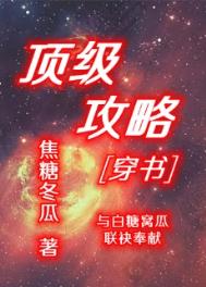 顶级攻略穿书txt百度网盘