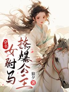 女穿越驸马的小说