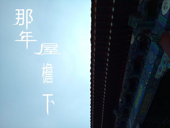 那年花开月正圆小说