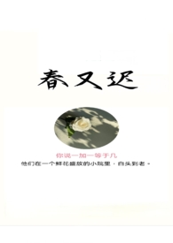 春又天舞厅营业时间