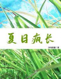 夏日疯潘玮柏评价