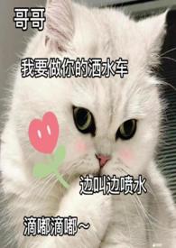 下雨给客户发的温馨提示短信