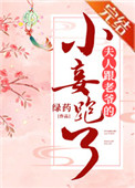 夫人跟老爷的小妾跑了第149章