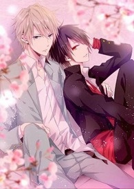 花恋蝶直播间
